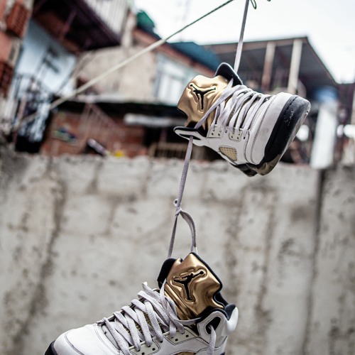 Stream TRIGONORREAAAAa Listen to raptor house playlist online for