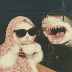 ambivalent  - ri*t sl*t | full set