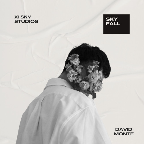 David Monte - Skyfall