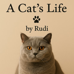 A Cat’s Life