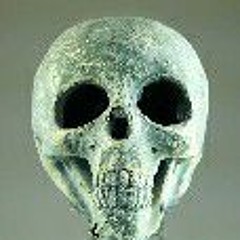 Tokxic- Silent Ride ( Westside boogie cover )