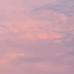 DISTXRTIXN PHXNK 🤟🤟🤟