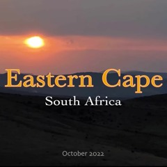 South African Thunderstorm - 2022/10/25