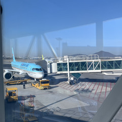 Travel