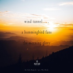 halF humminG [naviarhaiku355]