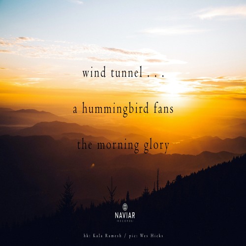 halF humminG [naviarhaiku355]