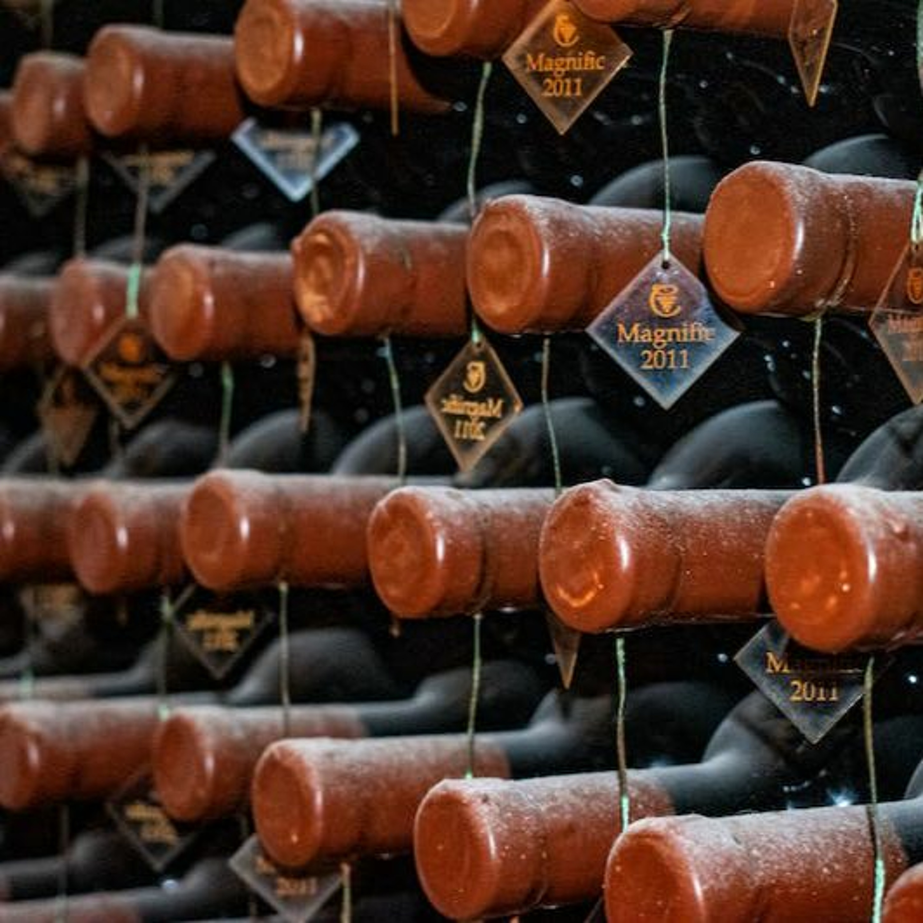 The Wonderful World of Wine (WWW)