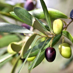 مدونة أفكار خربشات