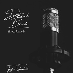 Different Breed (Prod. Ahmed) By Taylor Shantell