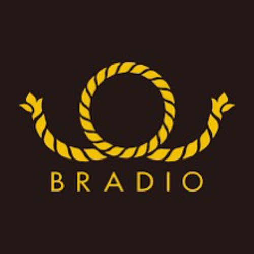 Party Head - Bradio