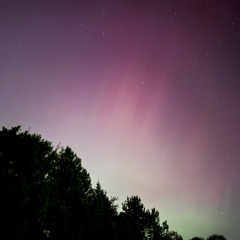 LILAC (prod. JustDan)