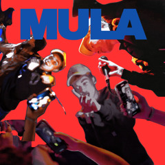 MULA (prod. by 444jet)