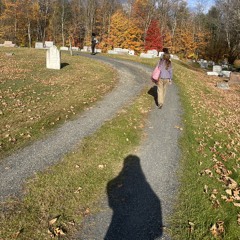 home in a hollow body (demo)