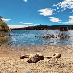 Serene Echoes  chill Hose 7/24/25  - Miami