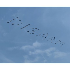 Fiona Banner aka The Vanity Press  in conversation with Xiaolu Guo at ICA, London 26 April 2025