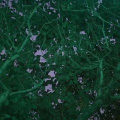 Extracts of Life 06