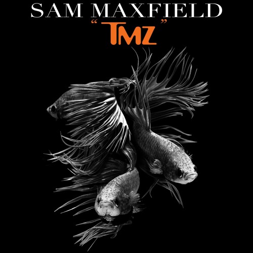 TMZ