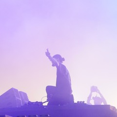 Skrillex, Fred Again - Bipolar (feat. Central Cee) [Lollapalooza rip]