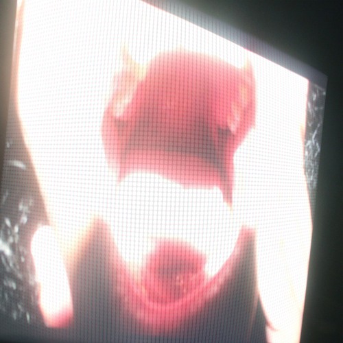 Stream basket case by To Oscar Listen online for free on SoundCloud