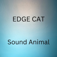Edge Cat