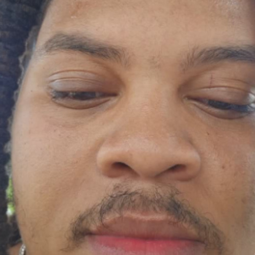 streamer universty application