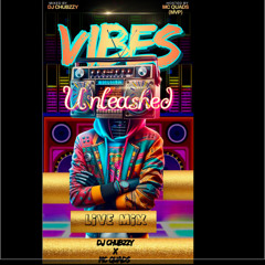 VIBES UNLEASHED VOL 1 2025 { DJ CHUBZZY X MVP}