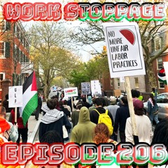 Ep 206 - No Time Like Today