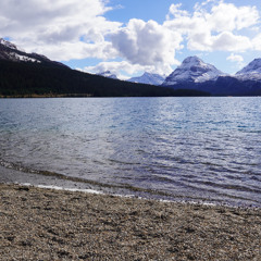 TikTok Live: Taco Tuesday Mix