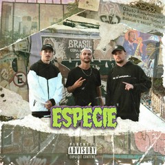 Santo, MJRL, ThZ - Espécie