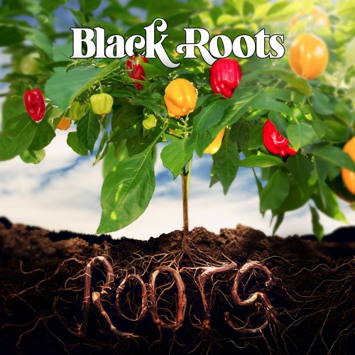 Roots Preview Clips