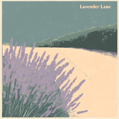 Lavender Lane