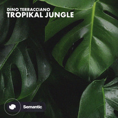 Dino Terracciano - Tropikal Jungle