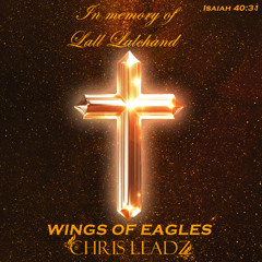 Wings Of Eagles