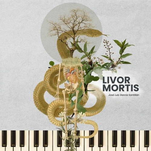 Livor Mortis