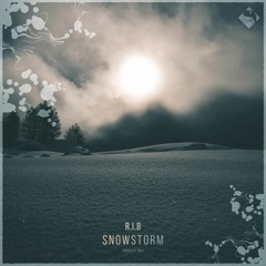 R.I.B - Snowstorm (Original Mix)