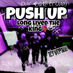 push up-icywop300