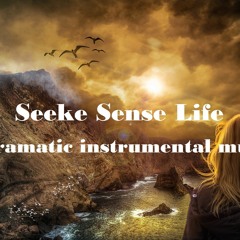 Seeke Sense Life (Dramatic instrumental music)