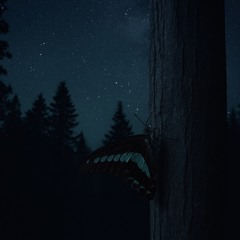 Sweet Dream(prod.Hoskey)