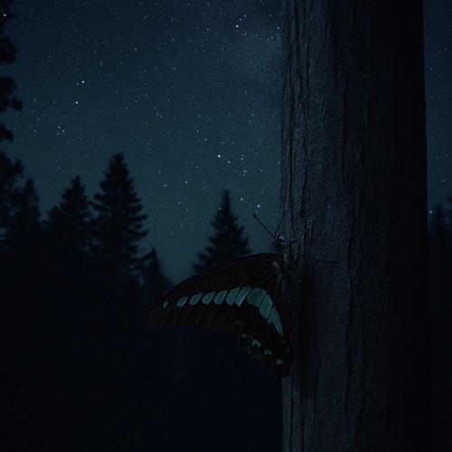 Sweet Dream(prod.Hoskey)