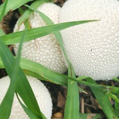 Skyline Ft. mindovermatter