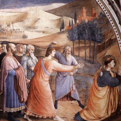 MEDITAÇÃO DO EVANGELHO -SÁBADO NA OITAVA DO NATAL- O NASCIMENTO PARA O CÉU