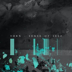 Torn - Sense Of Self (Sample Pack)