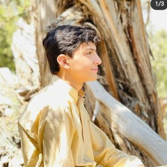 wa baghwana sraa gulona rawra  new pashto song 🥀