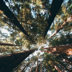 Barcelona (Cover - ft. Su En)