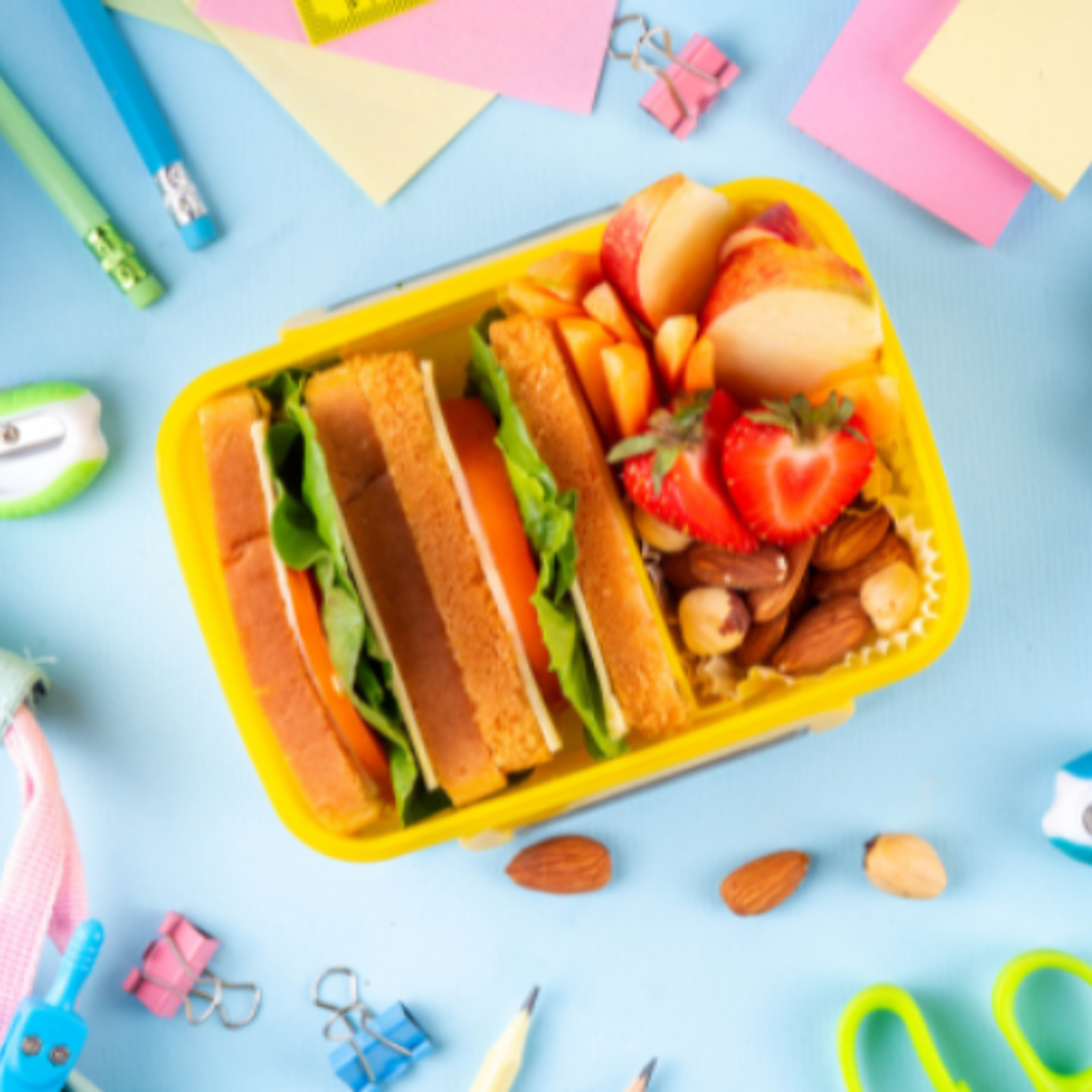 School Hot Meals Concerns