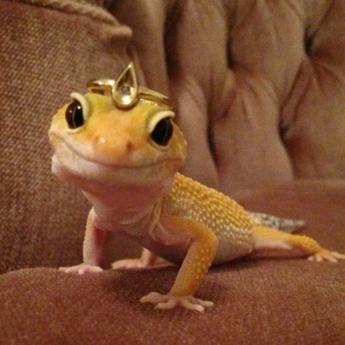 The Cardigans- Step on me sped up