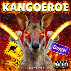Kangoeroe Wtf