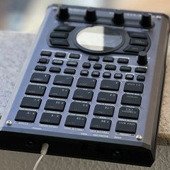 Sp 404 Beats 2023