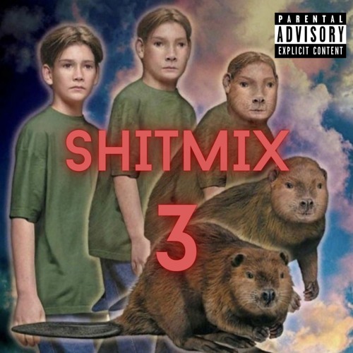 SHITMIX 3