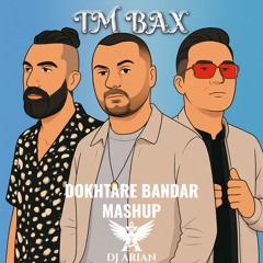 TM Bax - Dokhtare Bandar (DJ Arian Mashup)
